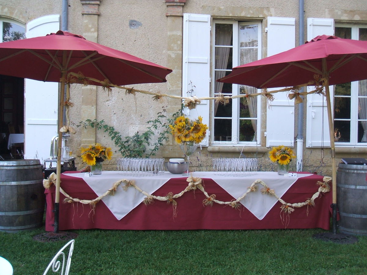Mariage chateau le haget gers gascogne9