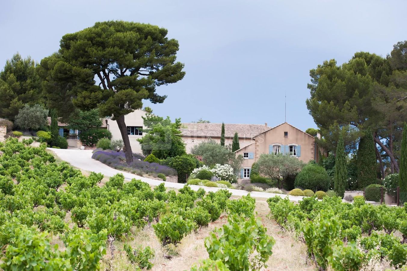 Château la Tour Vaucros