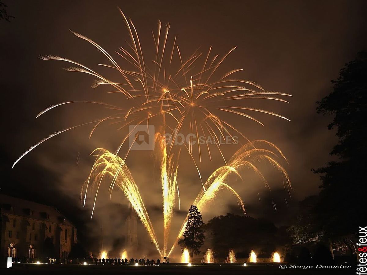 Feu d'artifice @