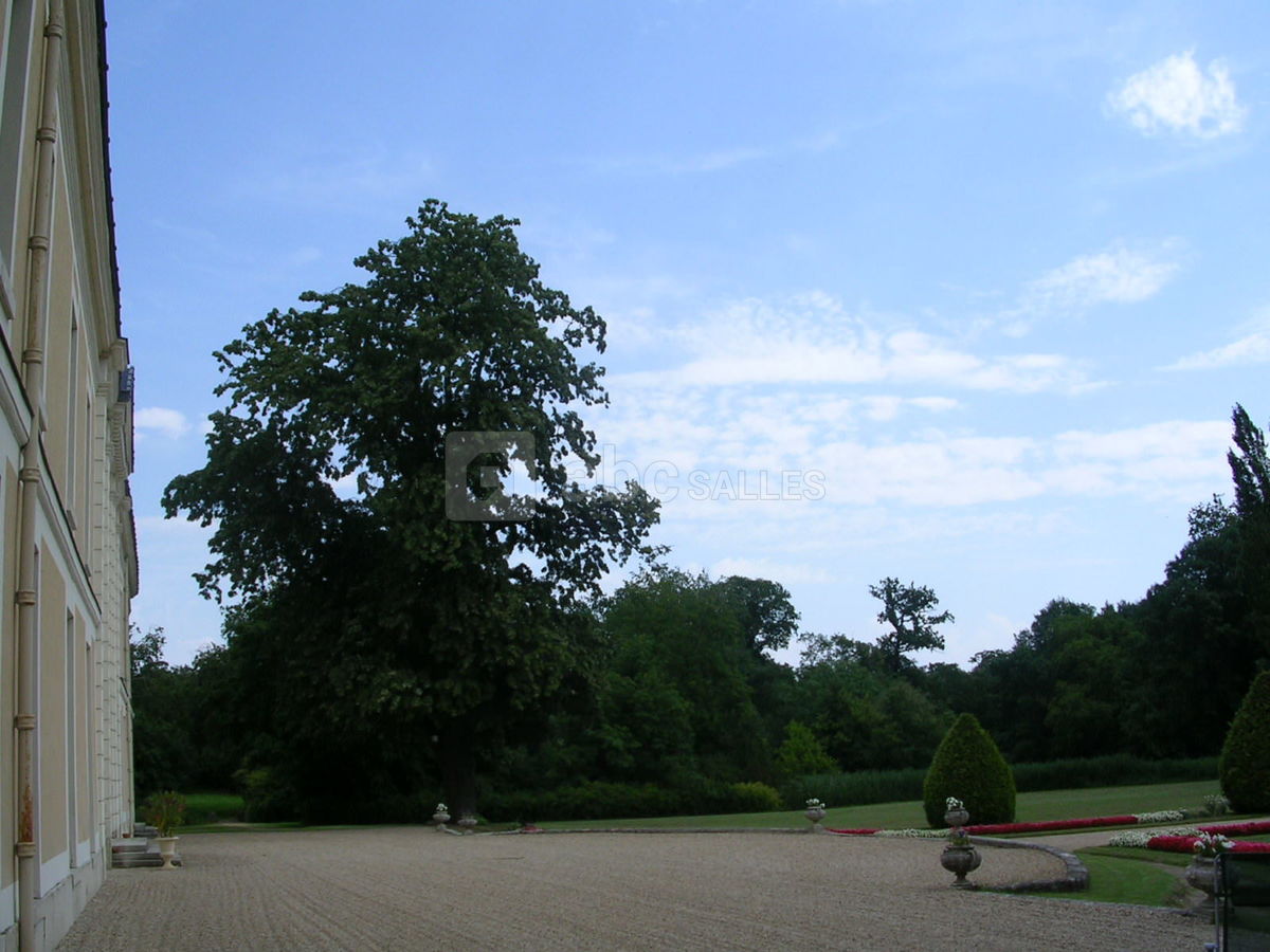 Vue