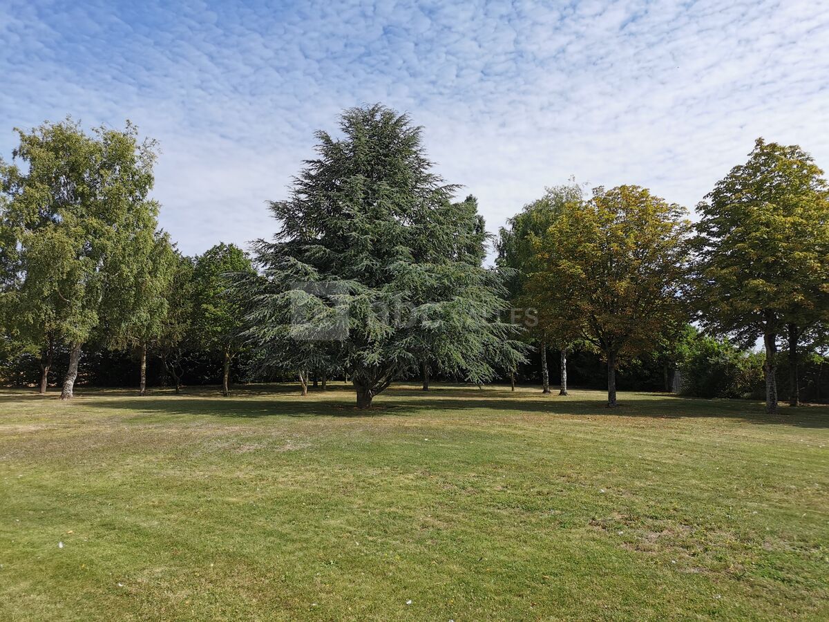 Jardins