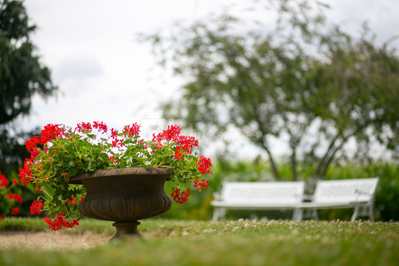 Jardin