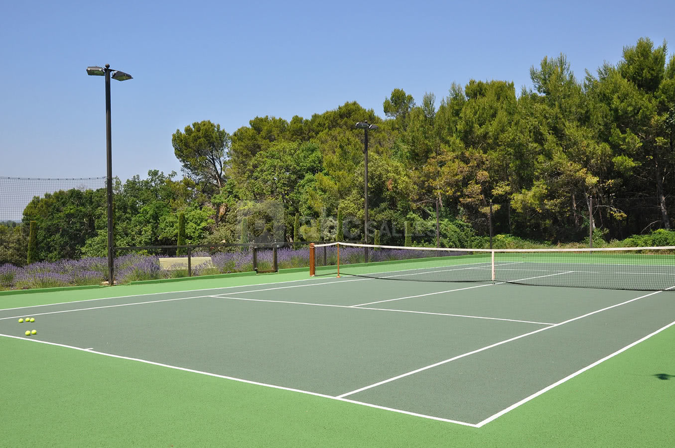 Le tennis de Le Mas de So au pied du champ des lavandes et du bois