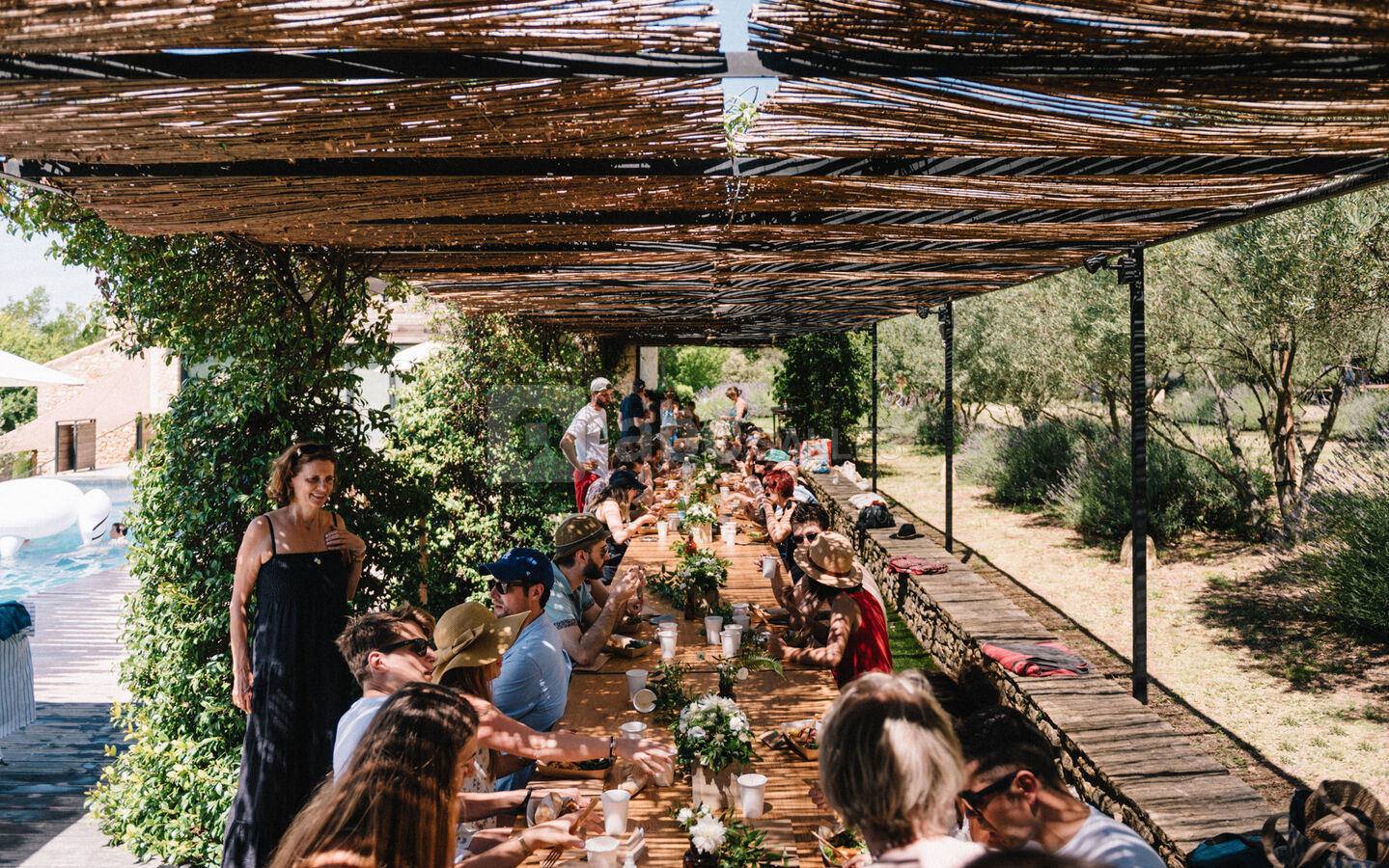 Brunch sous notre pergola de jasmins blancs, entre vignes, piscine et oliviers