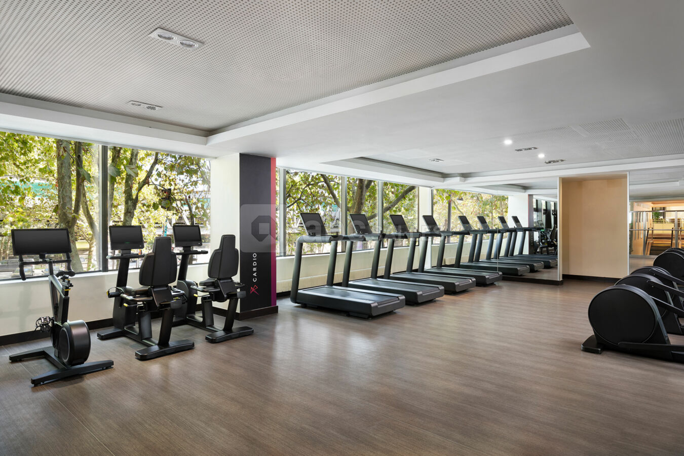 Fitness