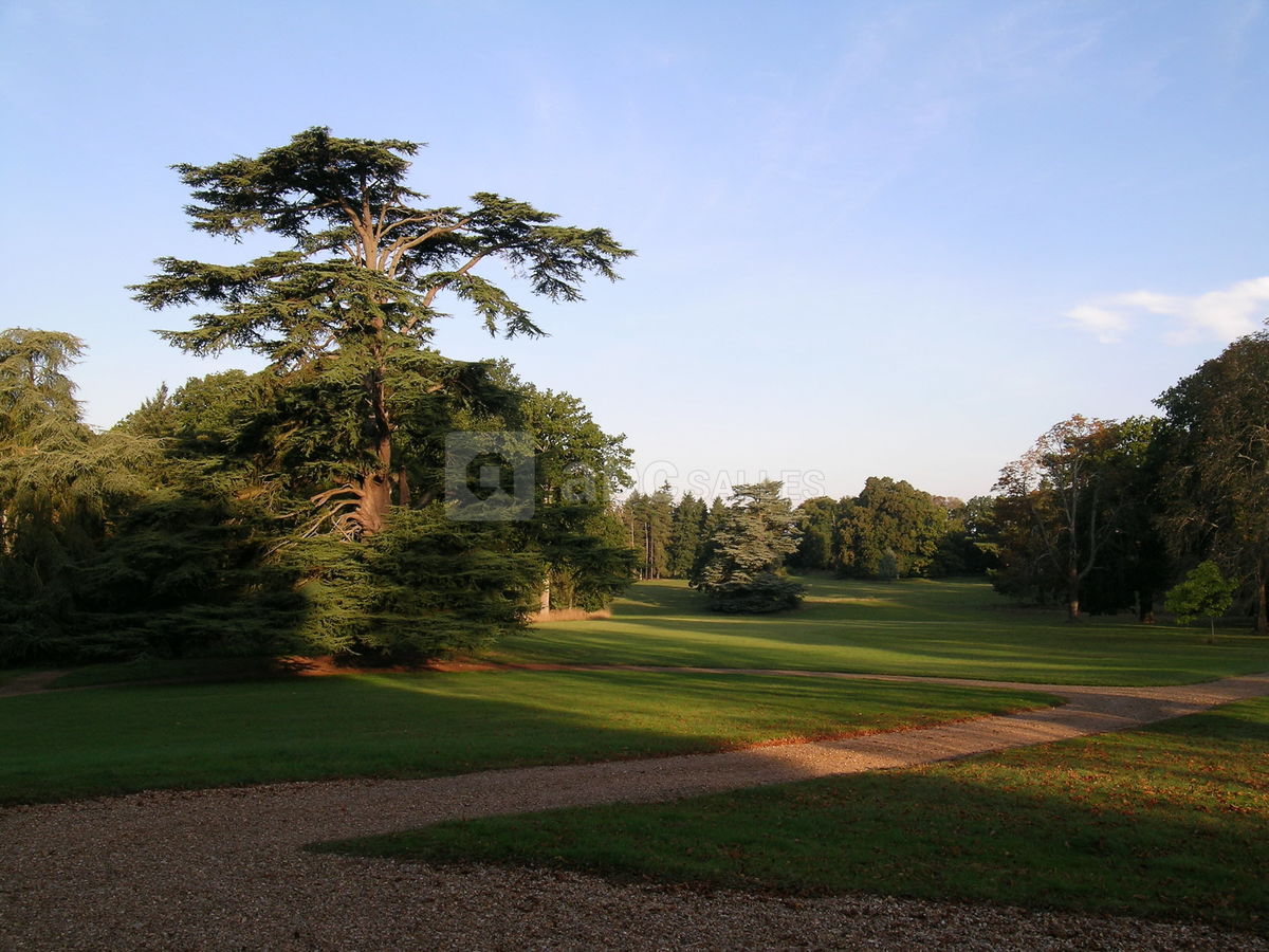 Vue du parc à l'anglaise
