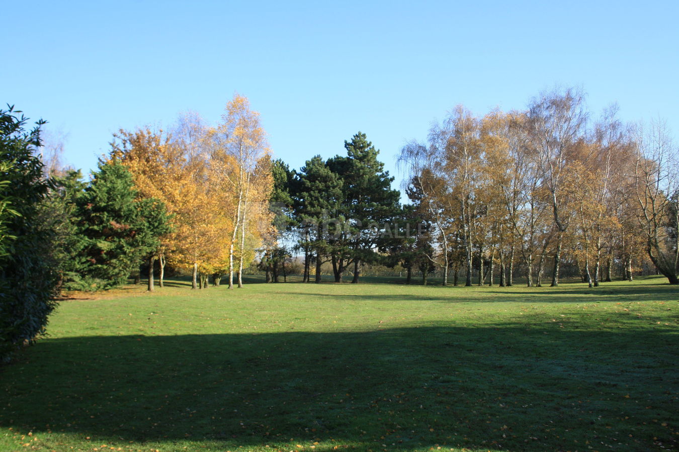 Parc de l'hôtel