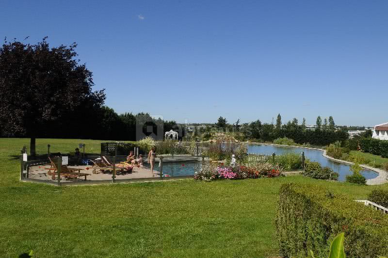 Plan d'eau