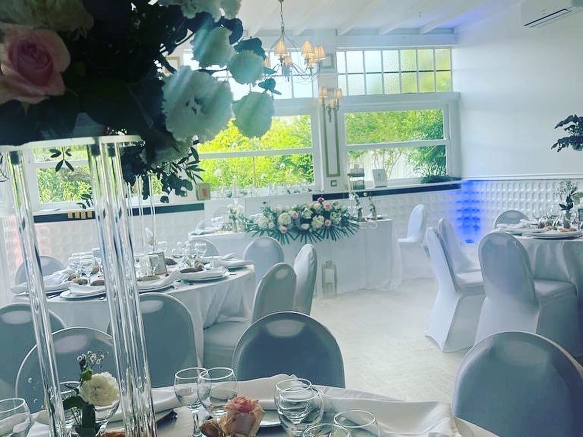 Salon Silver