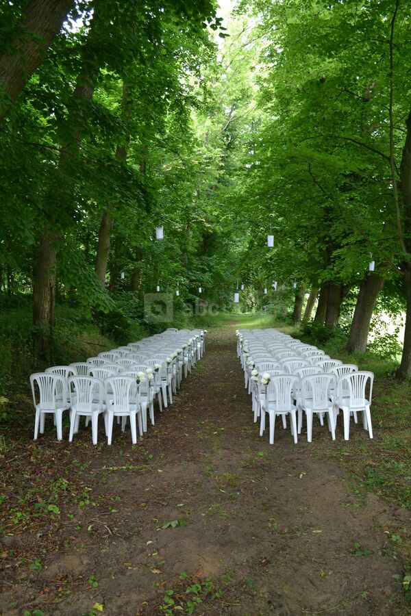 Cérémonie dans l'allée du bois