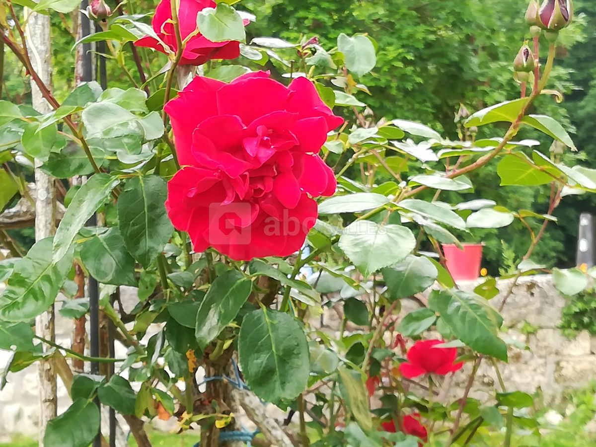 Jardin