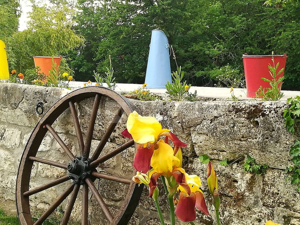 Jardin