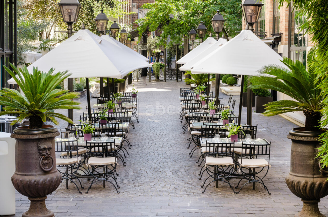 Jardin