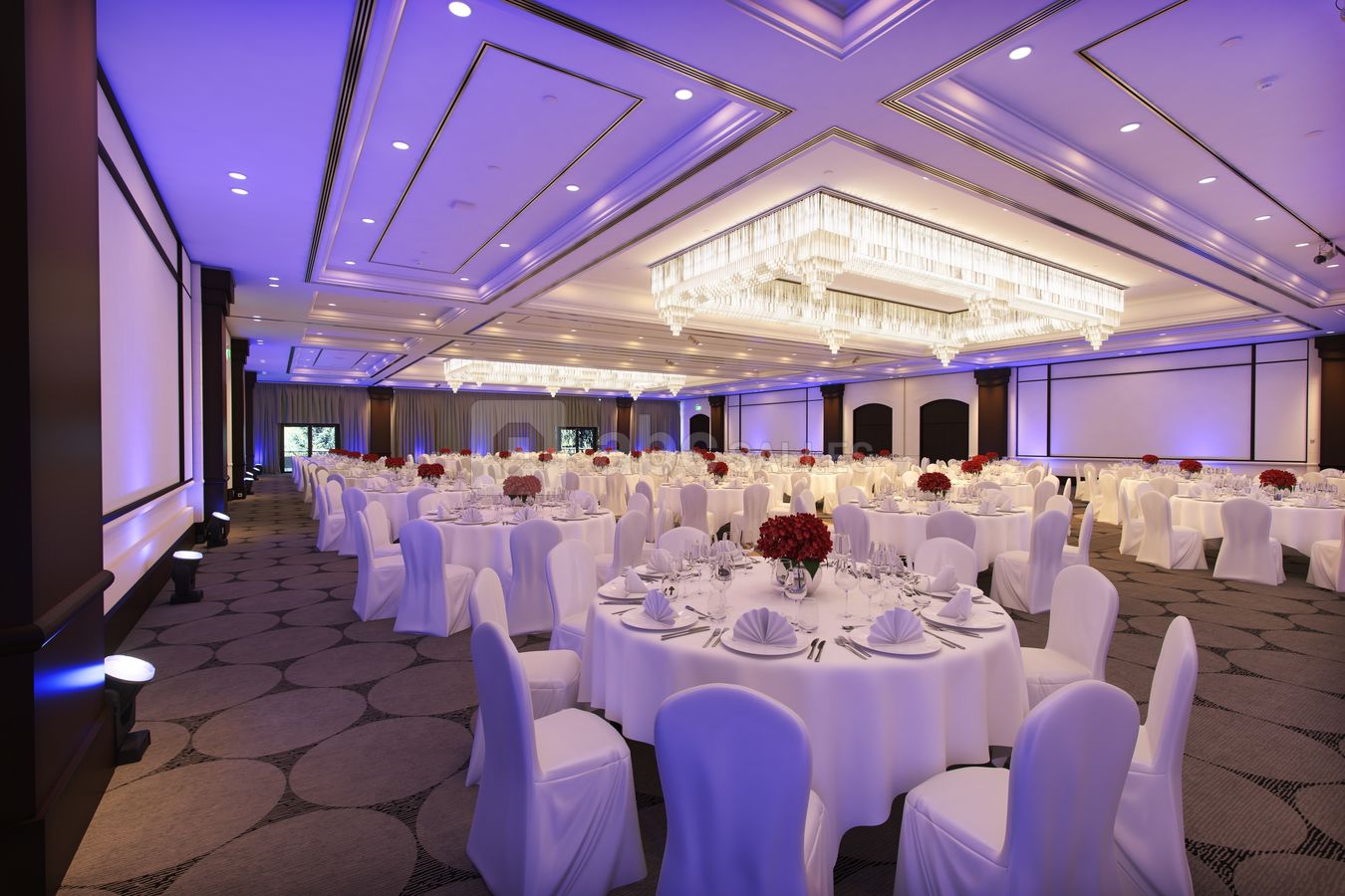 Salon Concorde (700m2)