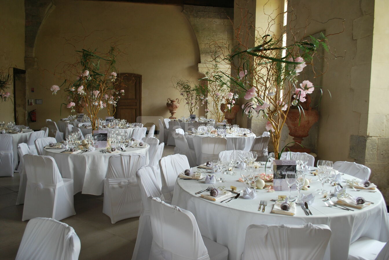 Salle Des Fetes La Ferte Saint Aubin