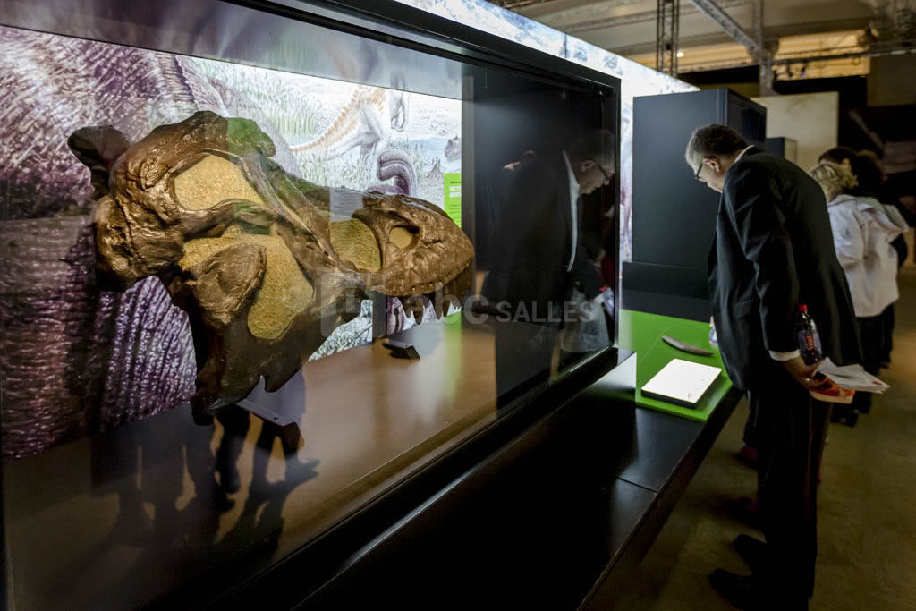 Exposition Autour des dinosaures © A. Robin - EPPDCSI