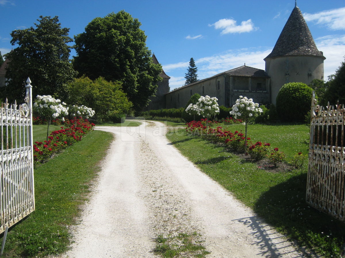 Entrée château