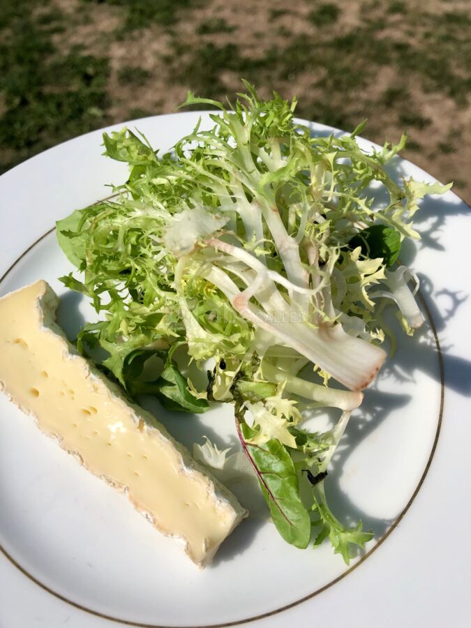 Brie et son mesclun
