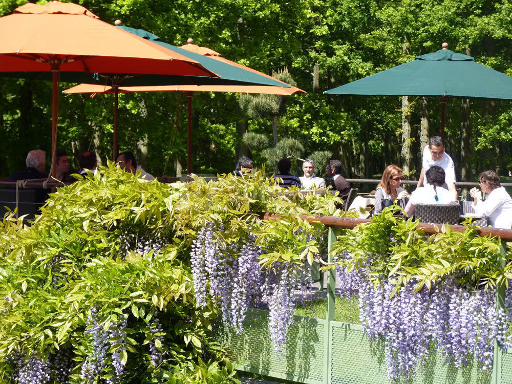 La terrasse en été