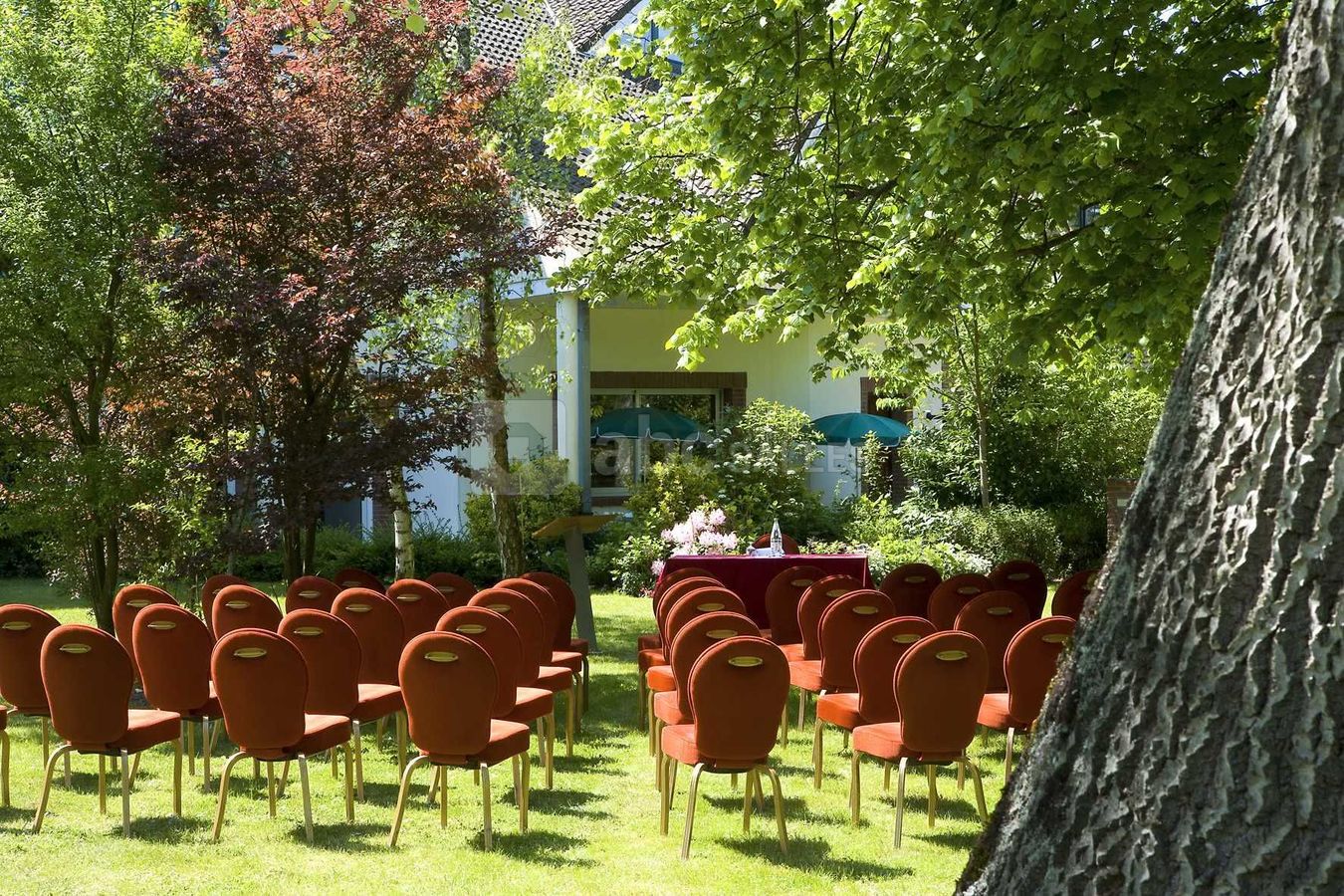 Au coeur d'un parc arboré