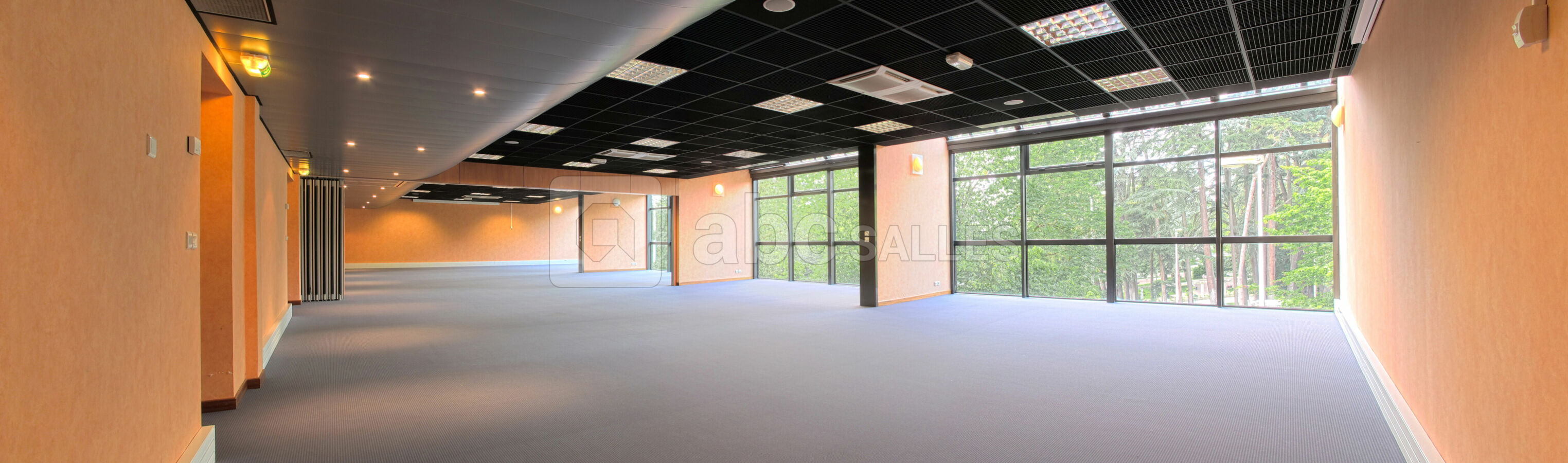 Salle Palace