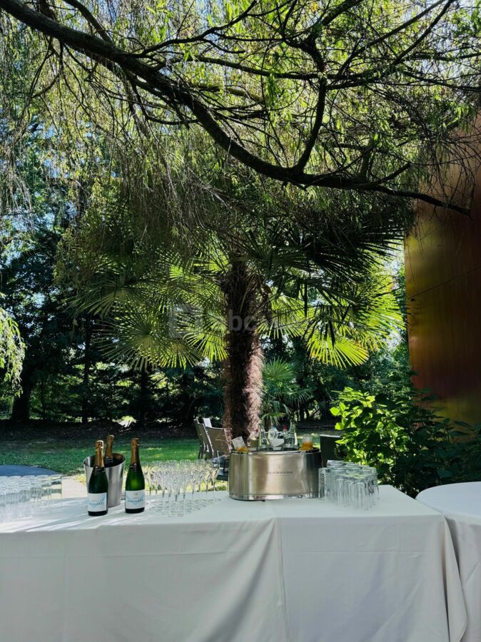 Vin d'honneur en terrasse