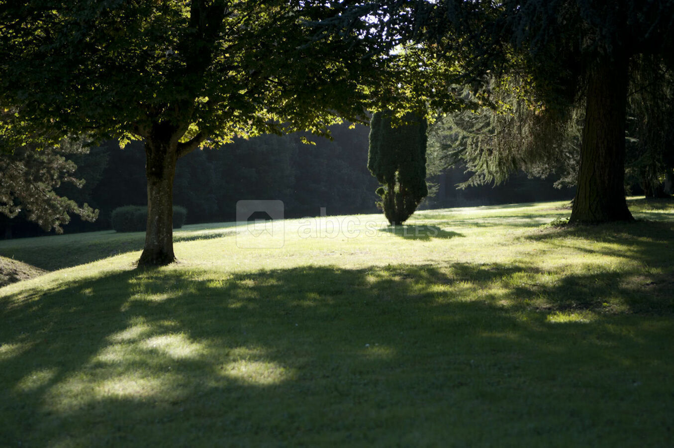 Parc du domaine2