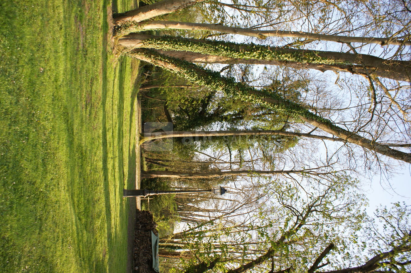 Le Moulin de Pommeuse