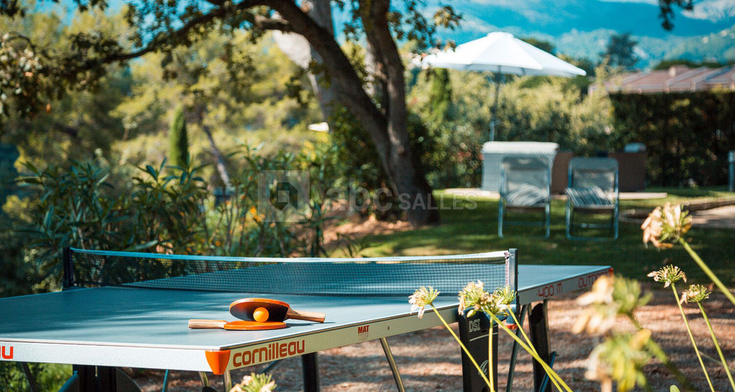 Table de ping pong