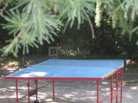 Ping pong