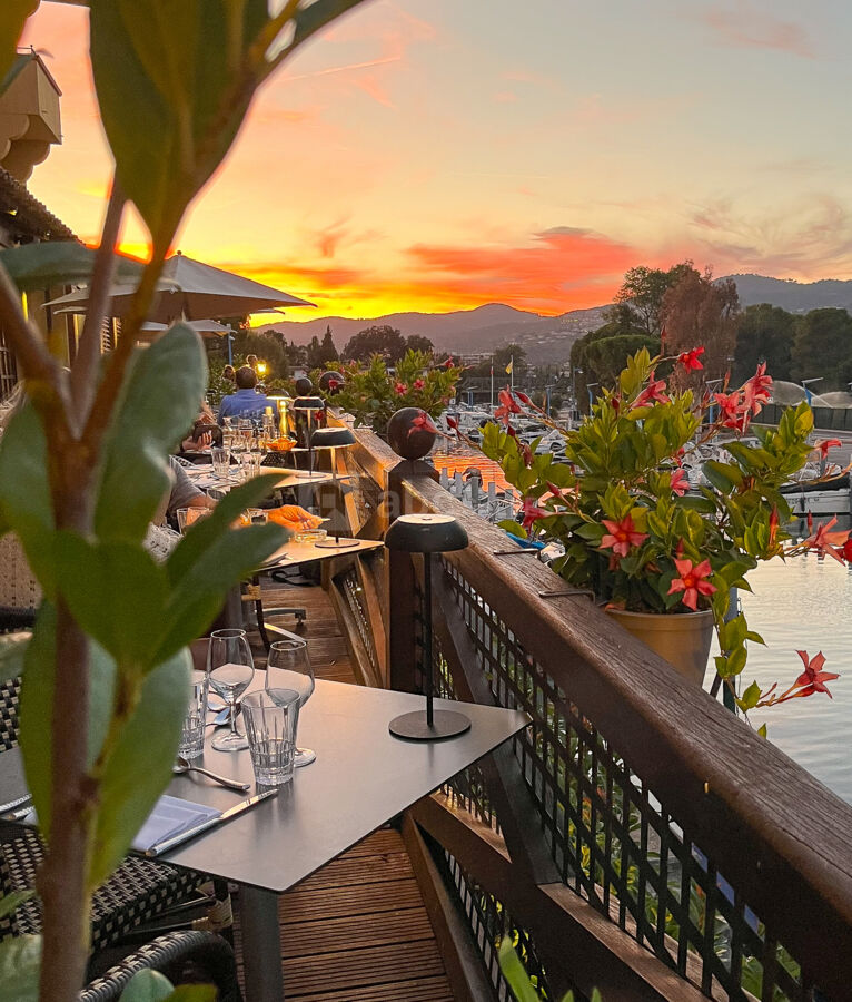Ponton du Bistrot de Oasis