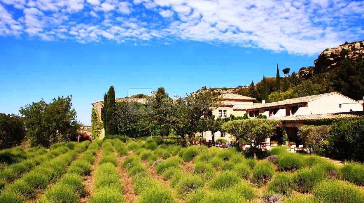 La terrasse des lavandes