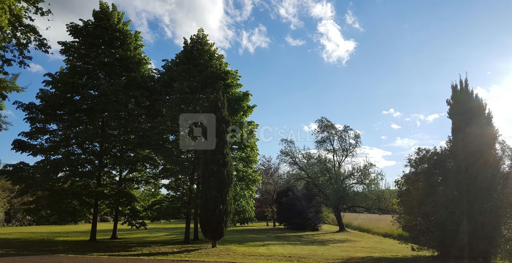 Sous les Tilleuls