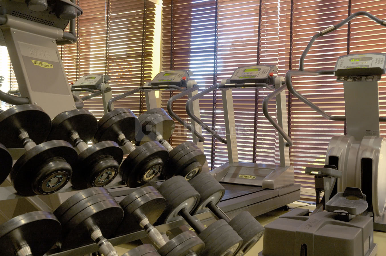 Salle de fitness