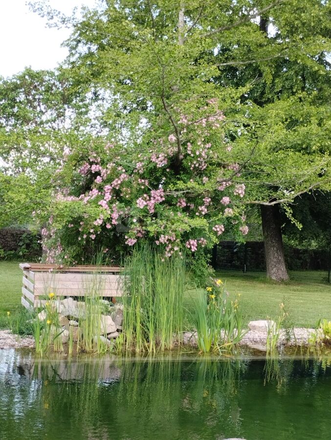 Piscine naturelle