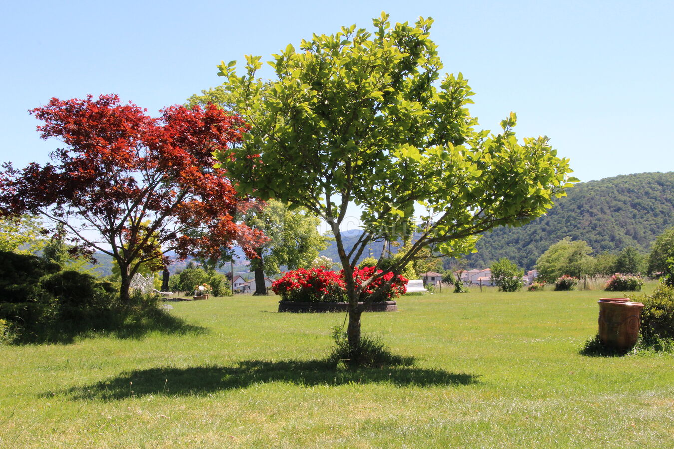 Parc