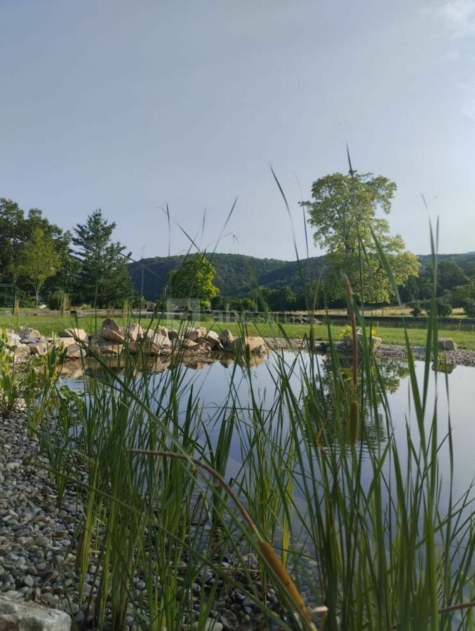 La piscine naturelle 5M/10M