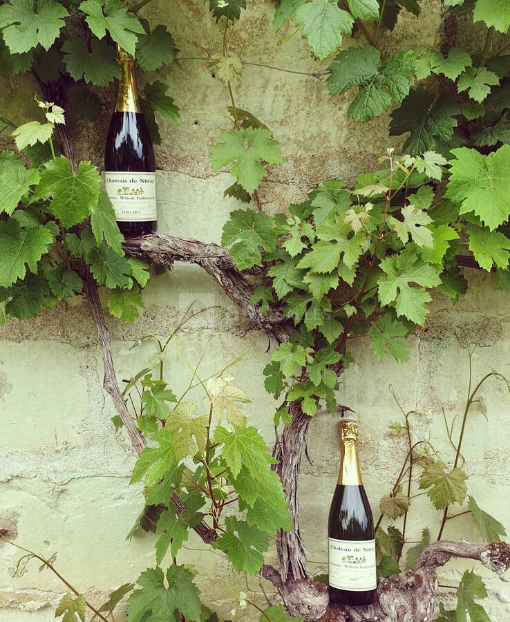 Château de Nitray ABC Salles