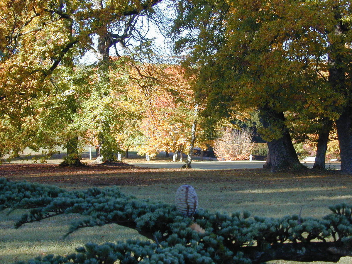 Parc & Château de Beauregard