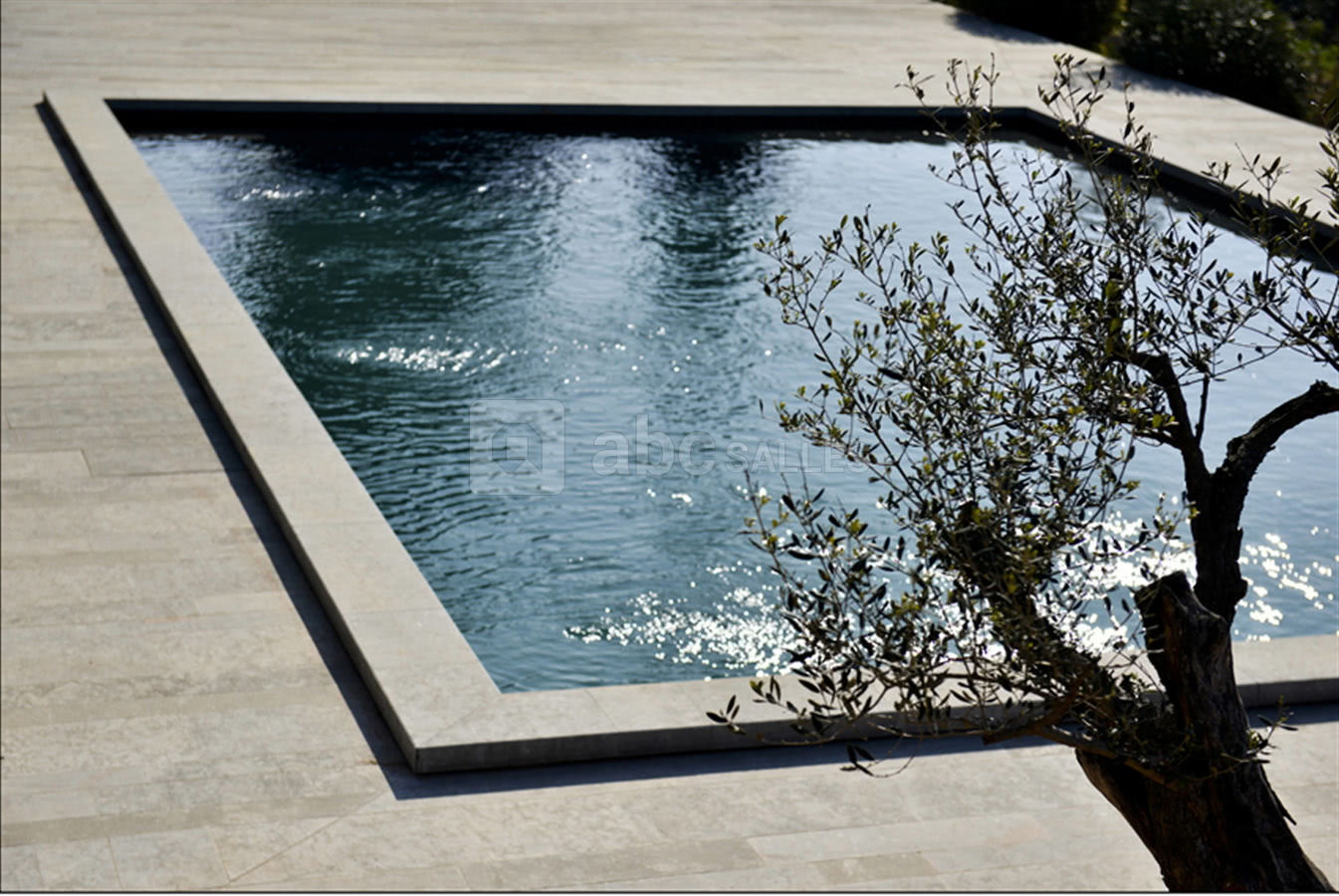 La piscine