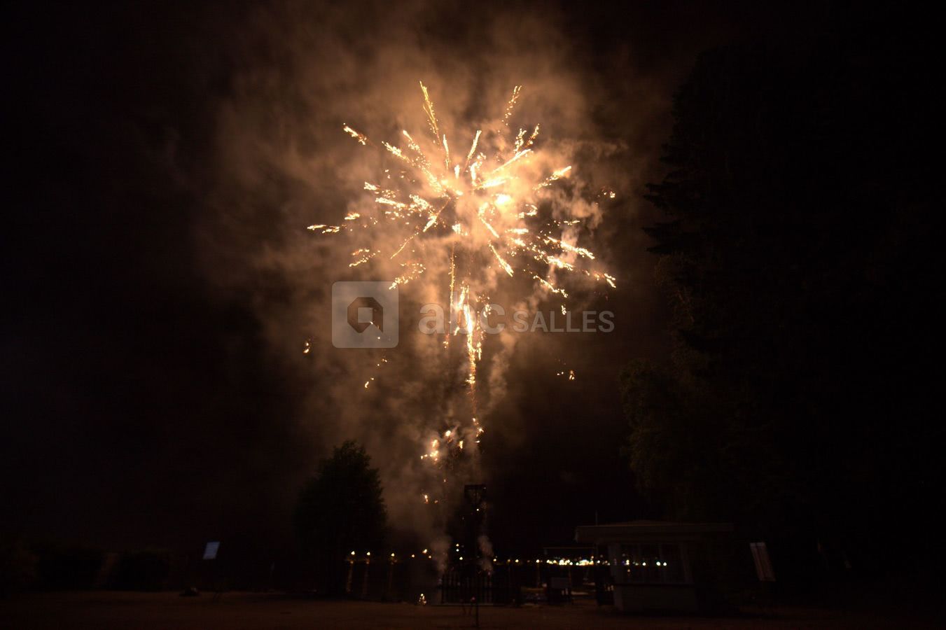 Feux d'artifices sur la plage