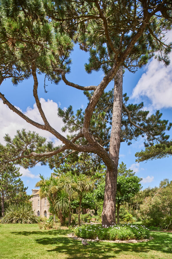 Les Jardins - Ile Tatihou