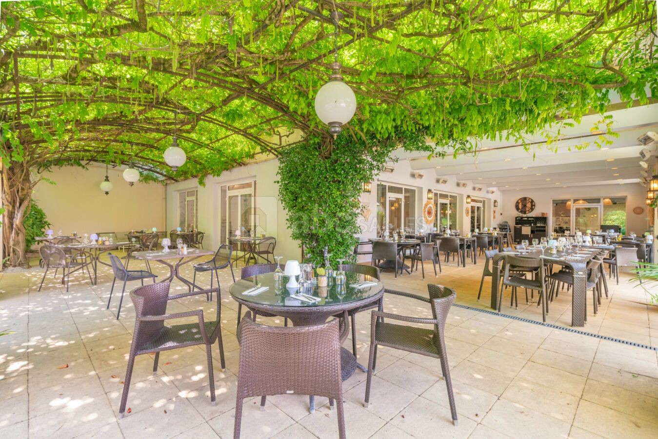 Glycine & Terrasse Couverte