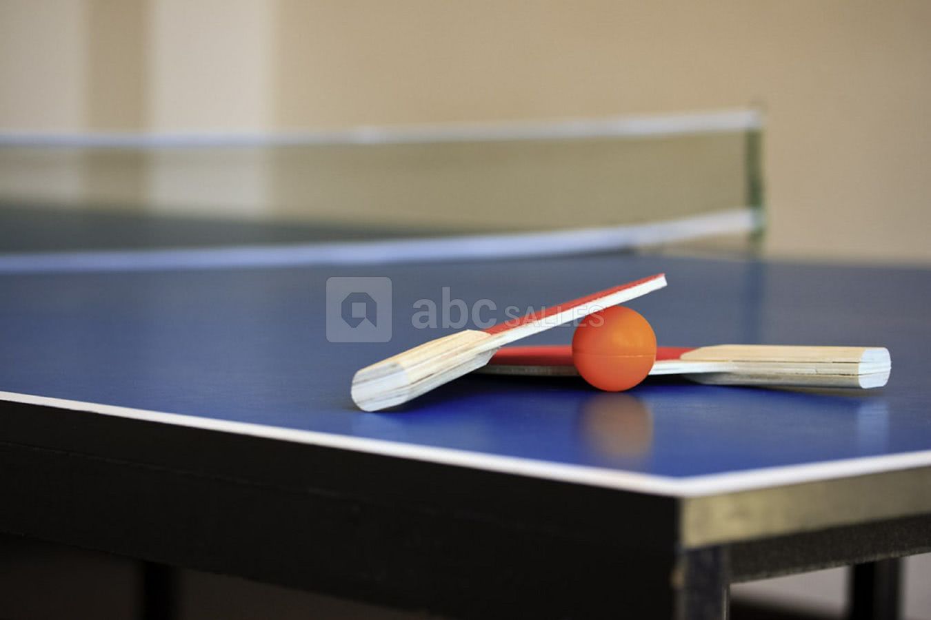 Tennis de table