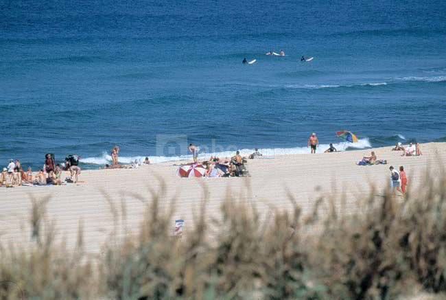 Plage de moliets