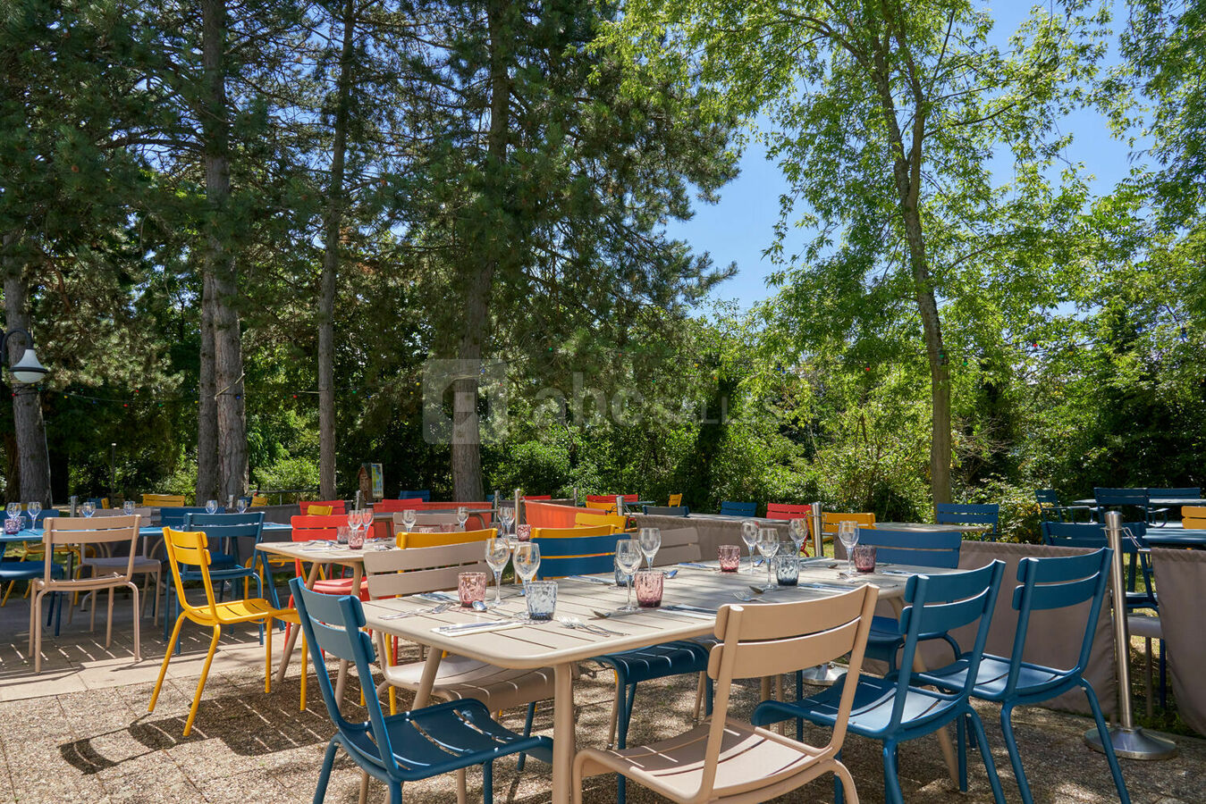 Un déjeuner sous les pins?