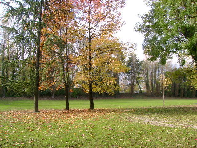 Parc