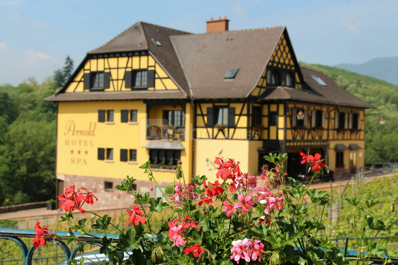 Hôtel Arnold ABC Salles