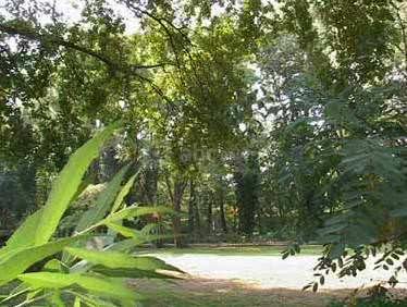 Parc