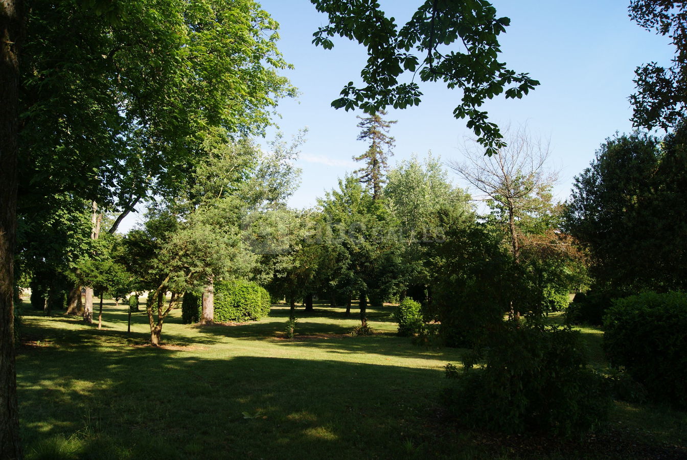 Le parc 3